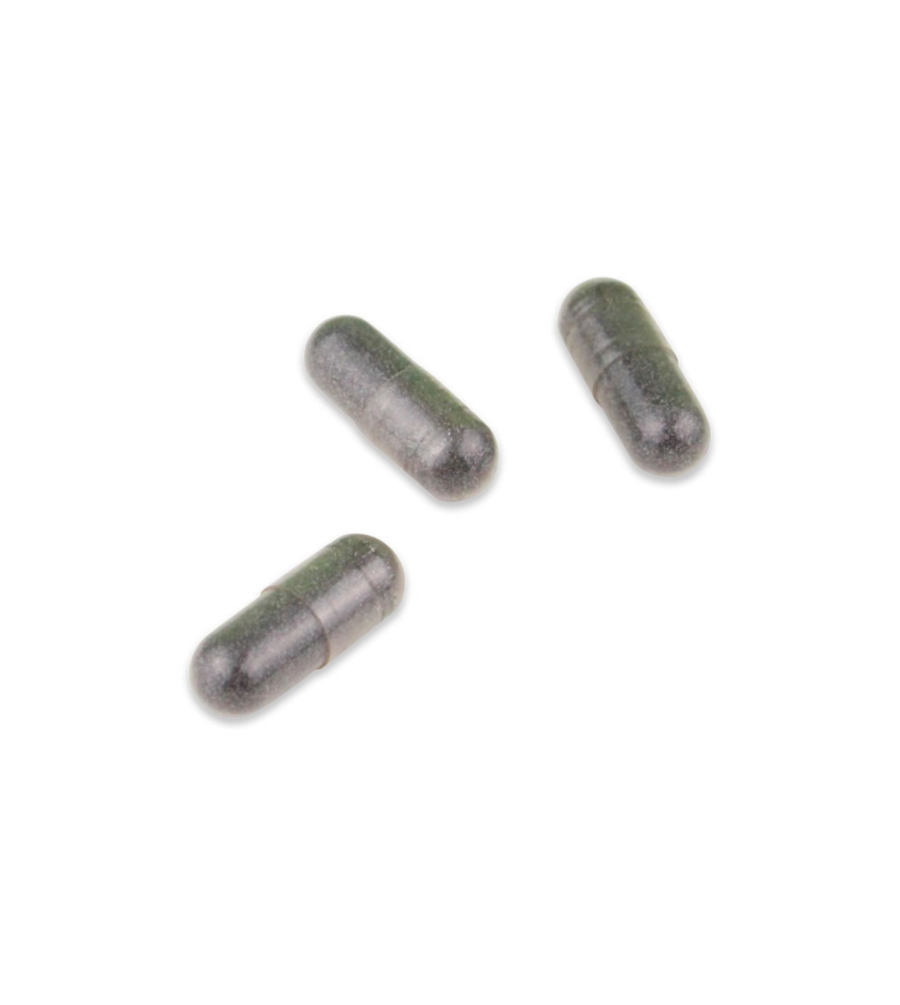 ヨドバシ Com 分子生理化学研究所 ワカサプリ イチョウ葉 オメガ 3 Ginkgo Omega 3 60粒 通販 全品無料配達